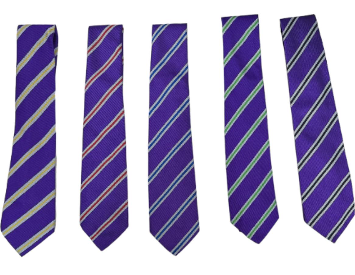 Leeds City Academy School Tie